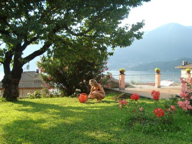 B&B Cherry En Rose Lezzeno Exterior photo